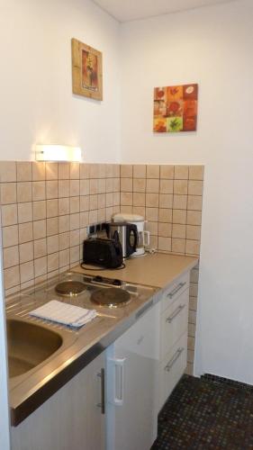 Hotel Apartment Rothensteiner - image 4