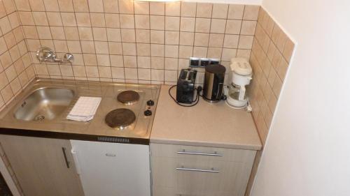 Hotel Apartment Rothensteiner - image 7