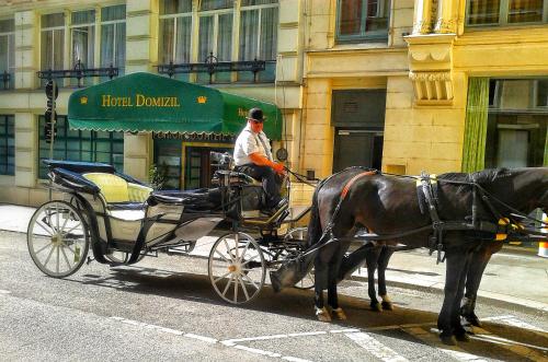 Hotel Domizil - image 3