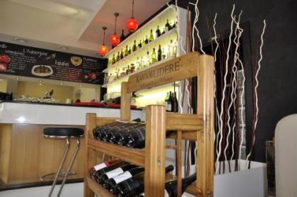 Arnes Hotel Vienna - image 12
