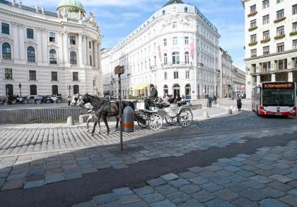 Highlight Apartment Hofburg - image 19