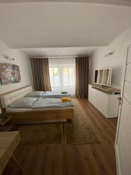 Dana's Apartment beim Augarten - image 21