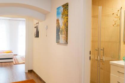 Dana's Apartment beim Augarten - image 30