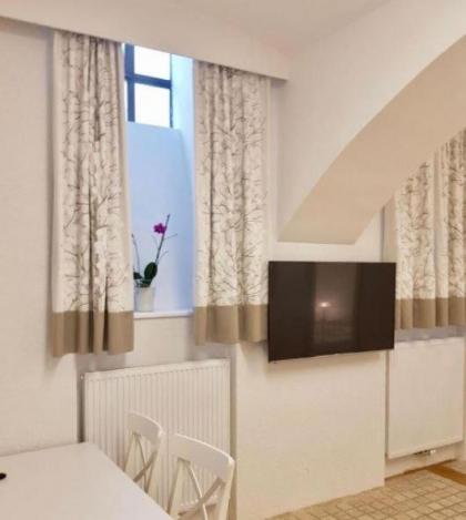 Vienna Studio Apartments - image 24