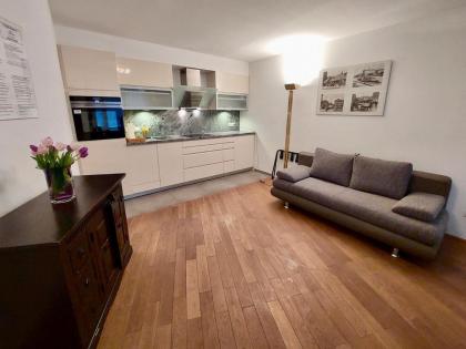 Vienna Studio Apartments - image 4