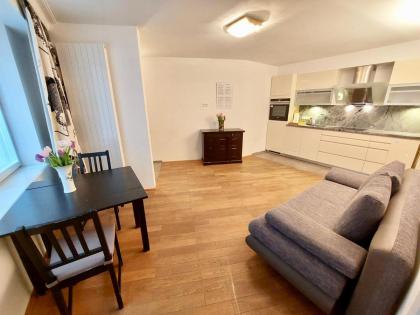 Vienna Studio Apartments - image 5