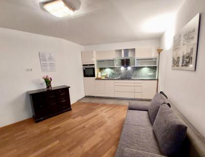 Vienna Studio Apartments - image 6