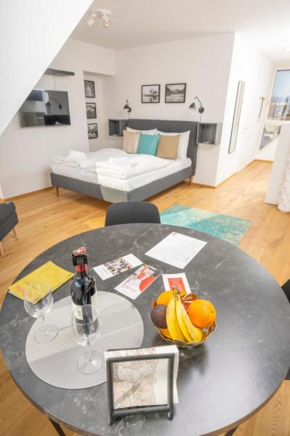 Rooftop Apartments mit großer Terrasse - image 23