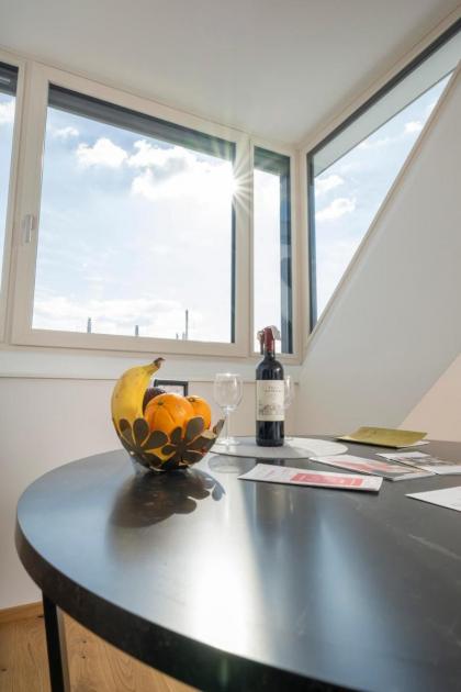 Rooftop Apartments mit großer Terrasse - image 30