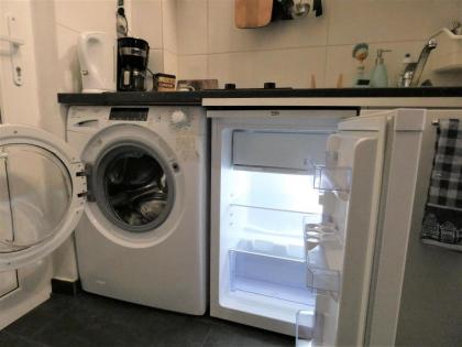 MSQ Diana - image 23