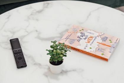 Center Wien designer central modern apartment - image 21