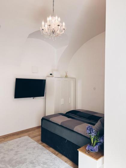 Beatrix Home Vienna Luxury Stay - image 21