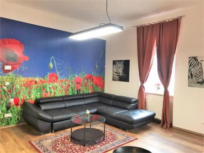 Kleinwohnung beim Reumannplatz (U-Bahn) - image 24