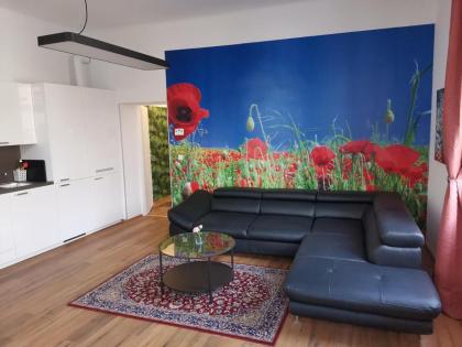 Kleinwohnung beim Reumannplatz (U-Bahn) - image 27