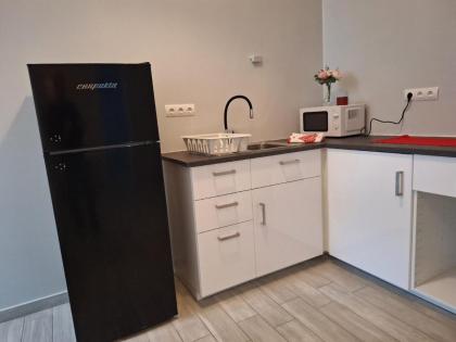 Betariel Apartments W107 Monthly - image 29