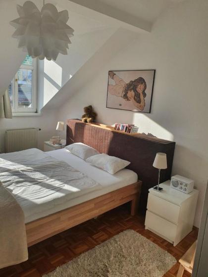 Appartement in Alservorstadt mit Garten - image 11